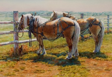 Pferd Werke - westamerika indiana 77 pferde